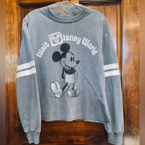 Disney Parks Blue Sweatshirt
